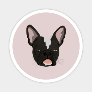 Pet lover - frenchie lover Magnet